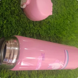 Steel water bottle Set of 10